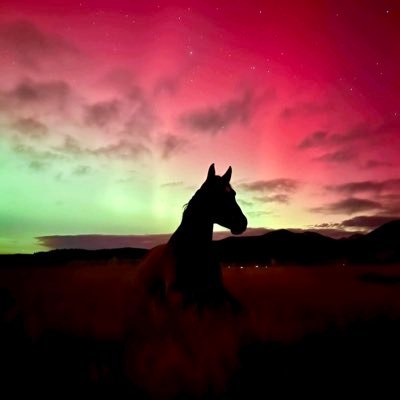 bbsdllko's profile picture. 