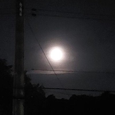 Kay04154077354's profile picture. 