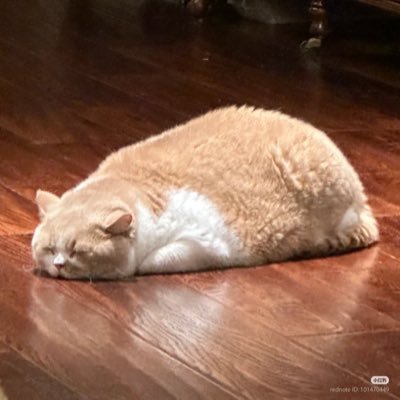 LPisMaddiecat's profile picture. 2001’s (นิ้วเบียดมาก)