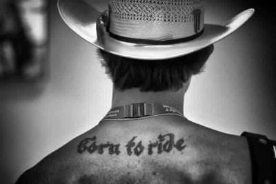 pervertucker's profile picture. wild at heart