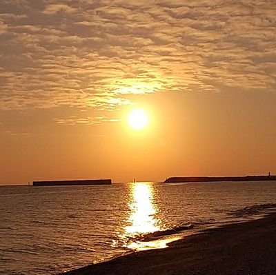 aoii1123_1's profile picture. ow2にドはまり中
twitchにて配信