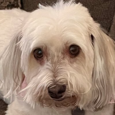 jalang1967's profile picture. 