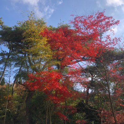 Rintong52's profile picture. 許認可申請手続・審査請求手続・マネジメントシステムコンサルで飯を食っているとある士業の独り言。時事ネタたまに。お仕事の問い合わせはDMより承ります。