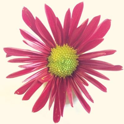 redoak69's profile picture. Watch your Ginger Daddy!