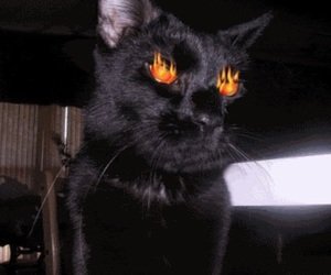 MillharbourDen's profile picture. I just gotta get a little moonlight kiss