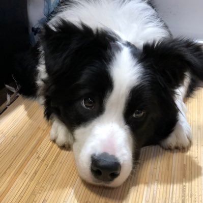 Rtoanivt's profile picture. 投資を始めて5年が経ち、私の投資スタイルは徐々に積極的から保守的へとシフトしてきました。

株式に加えて、キャッシュフローを改善するためにREITへの投資も始めました。

市場を頻繁にチェックしているわけではありませんが、金と現金は常にポートフォリオの「消火器」のような役割を果たしています。