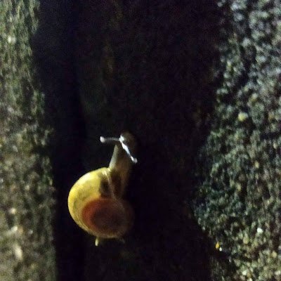 freverimproving's profile picture. 