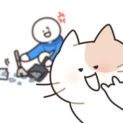 momoc_lin's profile picture. 