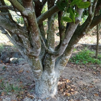 PTien59883's profile picture. 