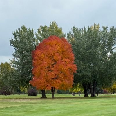 mtinvstr's profile picture. Father, husband, appraiser, and investor. All things real estate. Sandals and snow boots. Foodie.