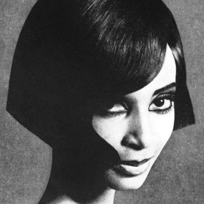 cinderlenin's profile picture. 27 • en/zh/pt-br • 📚🧶🖼️👩🏽‍💻