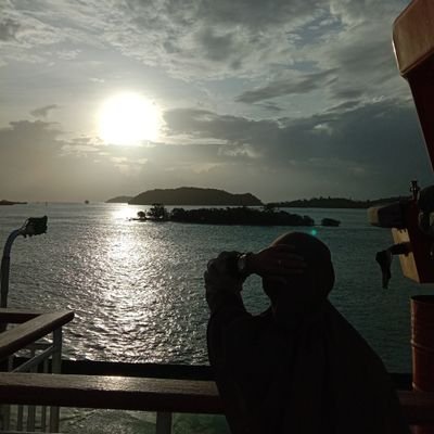 dearviien's profile picture. open commision for crochet 🌻🐇🍒🧶