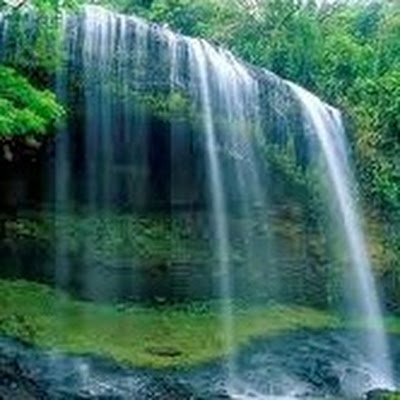 AbdulA51831's profile picture. 