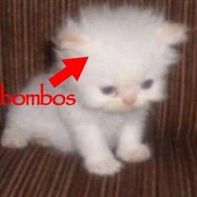 dilatargit's profile picture. 