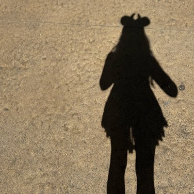 sheilamaryjane's profile picture. a census taker once tried to test me…..