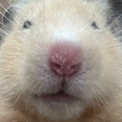 H900331_'s profile picture. 💌 hee900331@gmail.com