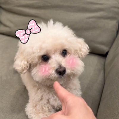 mymtuanp's profile picture. 