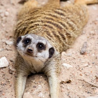 Yechi31's profile picture. Crypto |  Web3 enthusiast✨