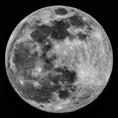 AzRz03's profile picture. Abgd 💼 CEO 🦺 TDAH 🧠 (L)gbt 🏳️‍🌈