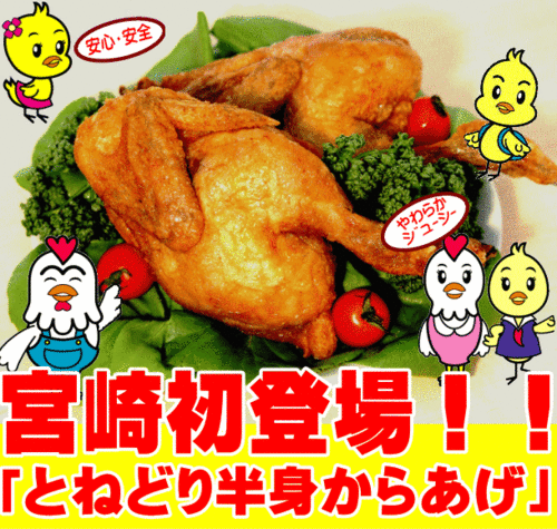 宮崎の美味しいものを全国へ！宮崎で話題の半身から揚げ【宮崎かしわや】のネットショップです。