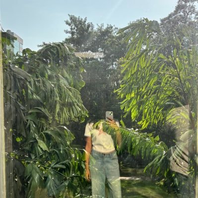 wikipeaa's profile picture. 