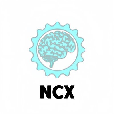 NeuroChainX_'s profile picture. 分散型神経ネットワークで、認知の主権を人へ。