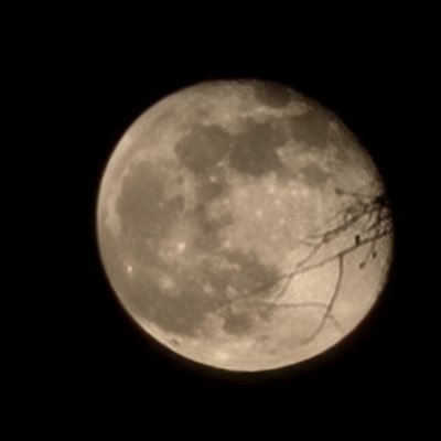 uribe_N22's profile picture. 