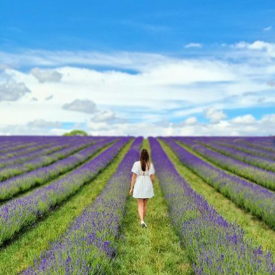 que_veron_acc's profile picture. Transforming health & beauty | Embracing calm in simple lavender moments