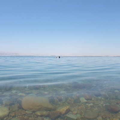 39itokawa's profile picture. 10年ごとに仕事を変容させ、ポータブルスキルという軸を深化させてきたライフピボッター。専門は価値創造マネジメント。
詳しくは：https://t.co/iCaISEFyW3