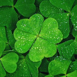 mcbl_1_8's profile picture. “So do not fear, for I am with you; do not be dismayed, for I am your God. I will strengthen you and help you; I will uphold you with my righteous right hand.”