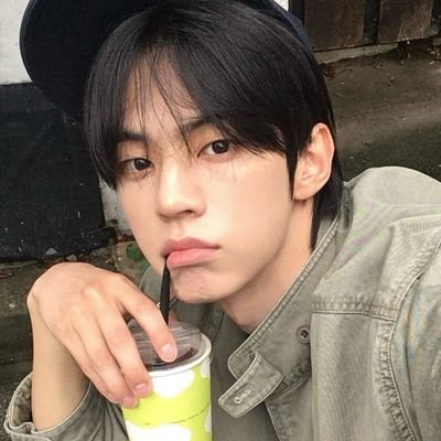 stainedstay's profile picture. Silly and microwavable.