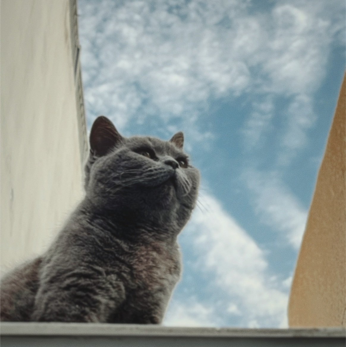 wakemeupwhenite's profile picture. 