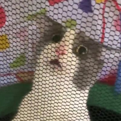 vinylbomb's profile picture. ts life thing its too ez