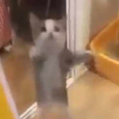 Sartrar's profile picture. 