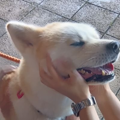 rabbiteye315's profile picture. 高校中退→高卒認定試験→通信制高校→地方国公立大学2年 農学部 土壌微生物学専攻🫐ブルーベリー🫐農家になりたいです👨‍🌾 ADHD、パーキンソン病(不随意運動疾患) 闘病中💊 最近はVALORANT、warframe‼️