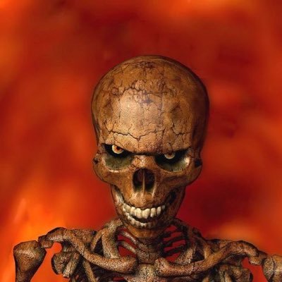 kittttt06's profile picture. i like turtles