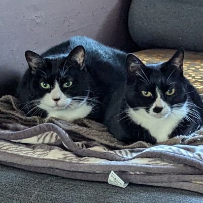 tKrUPZdiao12432's profile picture. 