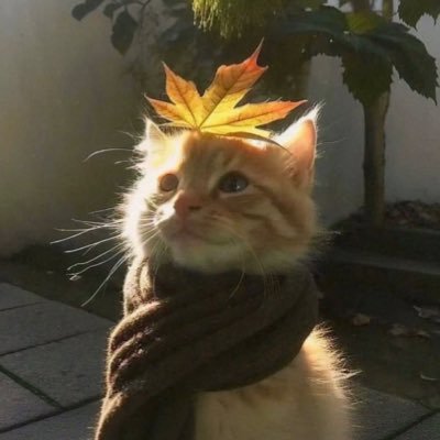 khunpinschick's profile picture. 