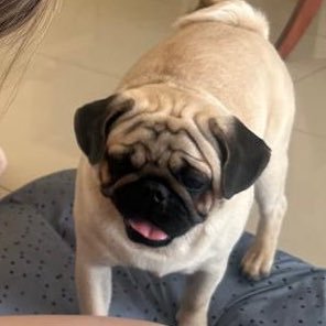 mamaedotheo7's profile picture. nice try diddy