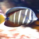 Thomas Kochan - @xxTommctomxx - Twitter