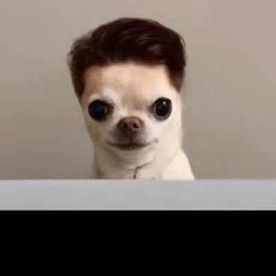 LM20301's profile picture. Don’t spend your time convincing others. Keep stacking