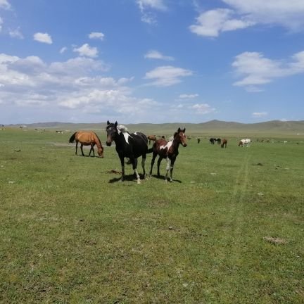 Siqntu's profile picture. ♡⃝ ʜᴇʟʟᴏ ◡̈ ☽⋆ 🏖
最好的时光在路上
所有快乐不必假装