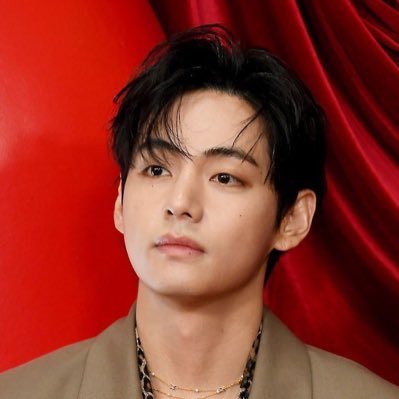 BeautifulTaekoo's profile picture. BTS have a special place in my heart. Taekook and Namjin supporter. Borahae!💜 APOBANGPO! For those who love them.🐯🐰🫶🏽🫰🏽