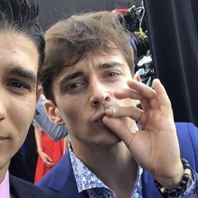 saficsonopy's profile picture. 