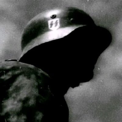 Fallen Angel Profile