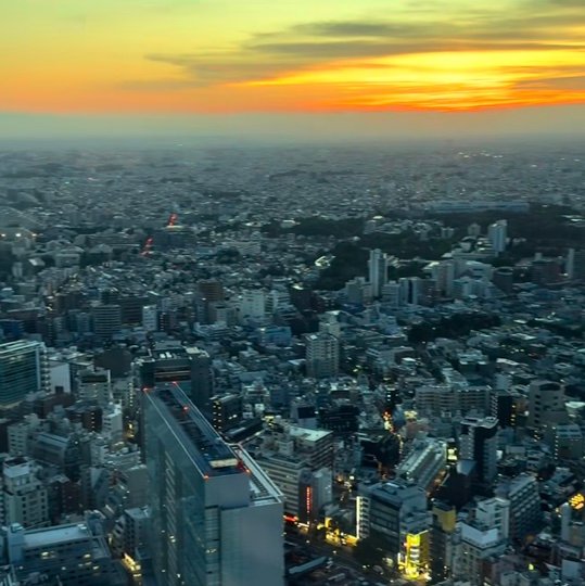 idasokixvci's profile picture. 