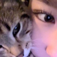 pute🪽 (@justcheeseey) 's Twitter Profile Photo