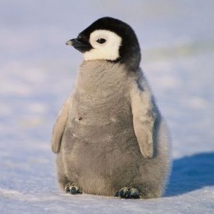 cybercore827700's profile picture. 