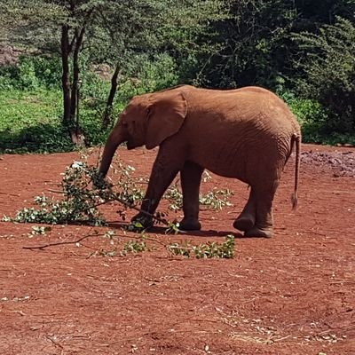 sir_Alexander_T's profile picture. 