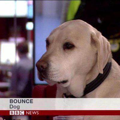 franciscolukss's profile picture. 🚮